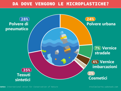 Le Microplastiche: Un Pericolo Invisibile per l'Ambiente 